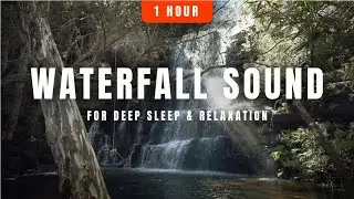 Australian Forest Waterfall Sounds (1 Hour) | Relaxing White Noise for Deep Sleep & Focus