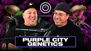 Purple City Genetics: Clone Business Make or Break, Family Smuggling, Genetic Rollercoasters, Purps