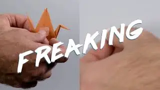 VELCRO&reg; Brand HANGables&trade; Removable Wall Fasteners: Origami Guru