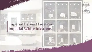 Imperial Harvest Prestige: Imperial White Inkstone