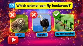 1.Fun General Knowledge Games for School Kids | PowerPoint Quiz Animated Template 