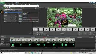 How To Animate Video Effects In VideoPad | Motion Effect | VideoPad Tutorials