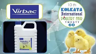 Анаболит-П (питательный) | Virbac | Международная выставка птицы в Калькутте 2024 | HYBIZ TV