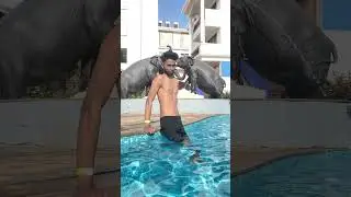 FED UP 💣 #gufrangabru #trending #viral #reels #reel #explore #shortsfeed #shorts #short #shortvideo