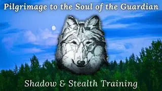 Pilgrimage to the Soul of the Guardian : Shadow & Stealth Training