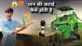 Dhan Ki Katai Kaise Hoti Hai Harwester Me dhan Ki Katai Comedy Video#short #cgvideocedy#funnyvideos