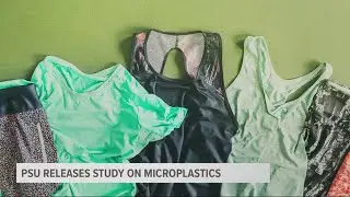 New Portland State University study finds microplastics in shellfish along Oregon coast