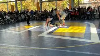 Ryan Stein v Logan Andrew
