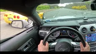 Friendly run C5 Corvette Vs Mustang GT *funny reaction*