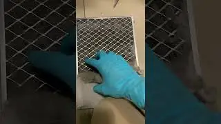 Cleaning a Dirty CT Scan Machine Gantry Filter in the ER 