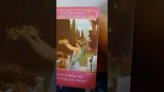 love reading #tarot #twinflame #soulmate #viral #shorts #lovereading