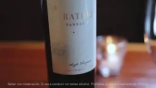 Batovi Tannat T1 Single Vineyard Cerro Chapeu