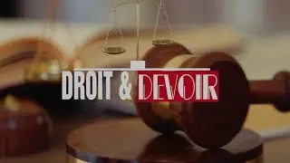 Interdiction de vente des cocottes | DROITS & DEVOIRS
