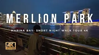 Night Short Walk at Merlion, Marina Bay | Singapore Skyline at Night
