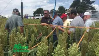 AGam in Kansas  - Update from Tracy Streeter at the Governor's Water Conference - December 1, 2016