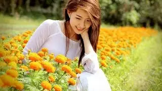 Top 10 Most Expensive Flowers in the World