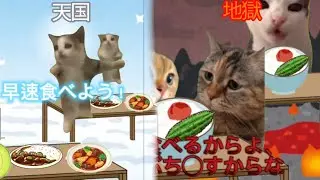 【猫ミーム】天国と地獄の違い