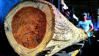 распиловка самого дорогого тикового дерева на тонкие доски