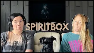 D'N'A Reacts: First time EVER hearing Spiritbox | Circle With Me