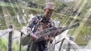 Tuku Kame Primuh