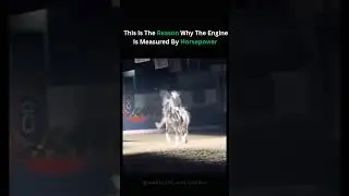 The reason why the engine is measured by horsepower #horse #horsepower #engine #aura