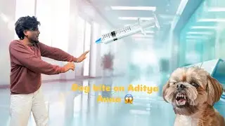 Dog bite||on Aditya Anna 🤕||#hospital #injection||#telugu||