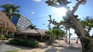 Air Asia from Panglao Premier