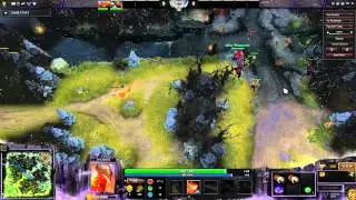 Phoenix Jungle