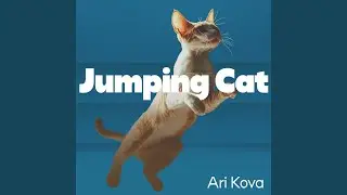 Jumping Cat