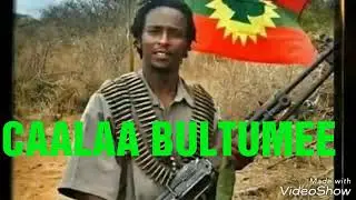 Artsti caala bultume