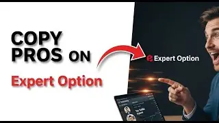 How to Use the Expert Option 