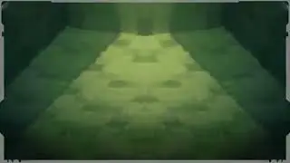 LEAK 1.0