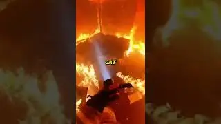 Firefighter Rescues Cat From Burning House !