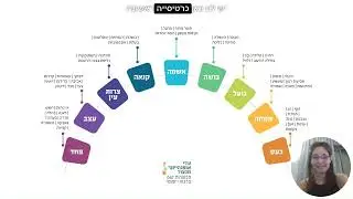 ויסות רגשות ע