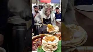 Unique dish😱chicken curry with roti 🫓 smart monkey chef 🐒🔥 #shorts #food #monkey