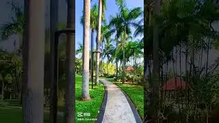 Beautiful Tropical landscape (You Tube ) # Shorts