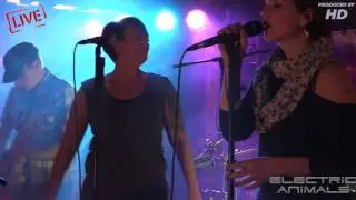 Electric Animals - Live in Eppingen 2016 - Teil 1