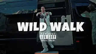 Central Cee Type Beat &ndash; WILD WALK | Melodic Drill (FREE FOR PROFIT)