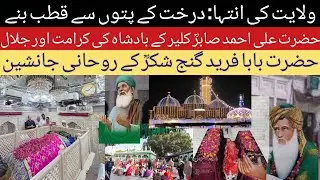 Wilayat Ki Inteha | Baba Farid RA Ke Qawwal Ka Imtehan Aur Hazrat Sabir Kaliyar Ki Karamat