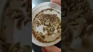 SitaRam#swadist Guar besar#Reduce diabetic #trending #viral #ytshorts #support healthy diet n yoga#