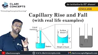 Capillary Rise and Fall explained with real life example (English)