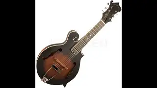 DADGAD instrumental with my new Goldtone Mandotar!