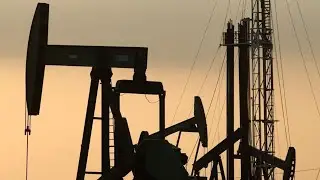 Citi's Morse Sees Oversupplied Oil Market