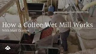 How a Coffee Wet Mill Works