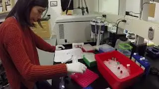 Unlocking DNA: The Center for Comparative Genomics | California Academy of Sciences