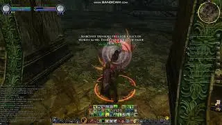 LotRO Captain in Southern Mirkwood: Dannenglor again