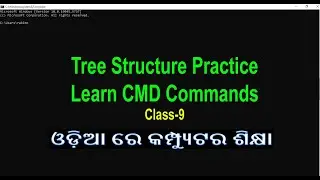 Computer Classes [Odia] | Command Prompt Tutorial | Tree Command | Learn Tree Structure Directory|