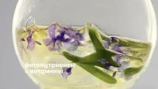 Обновлённая коллекция g&h&trade;: натуральные ингредиенты и эко-производство