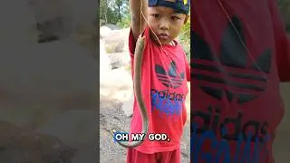 Oh My God, It&rsquo;s an Eel! Not a Fish?!