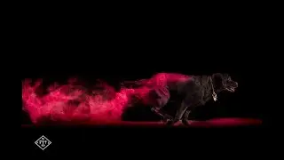 💥BOOM💥  Powder Photoshoot